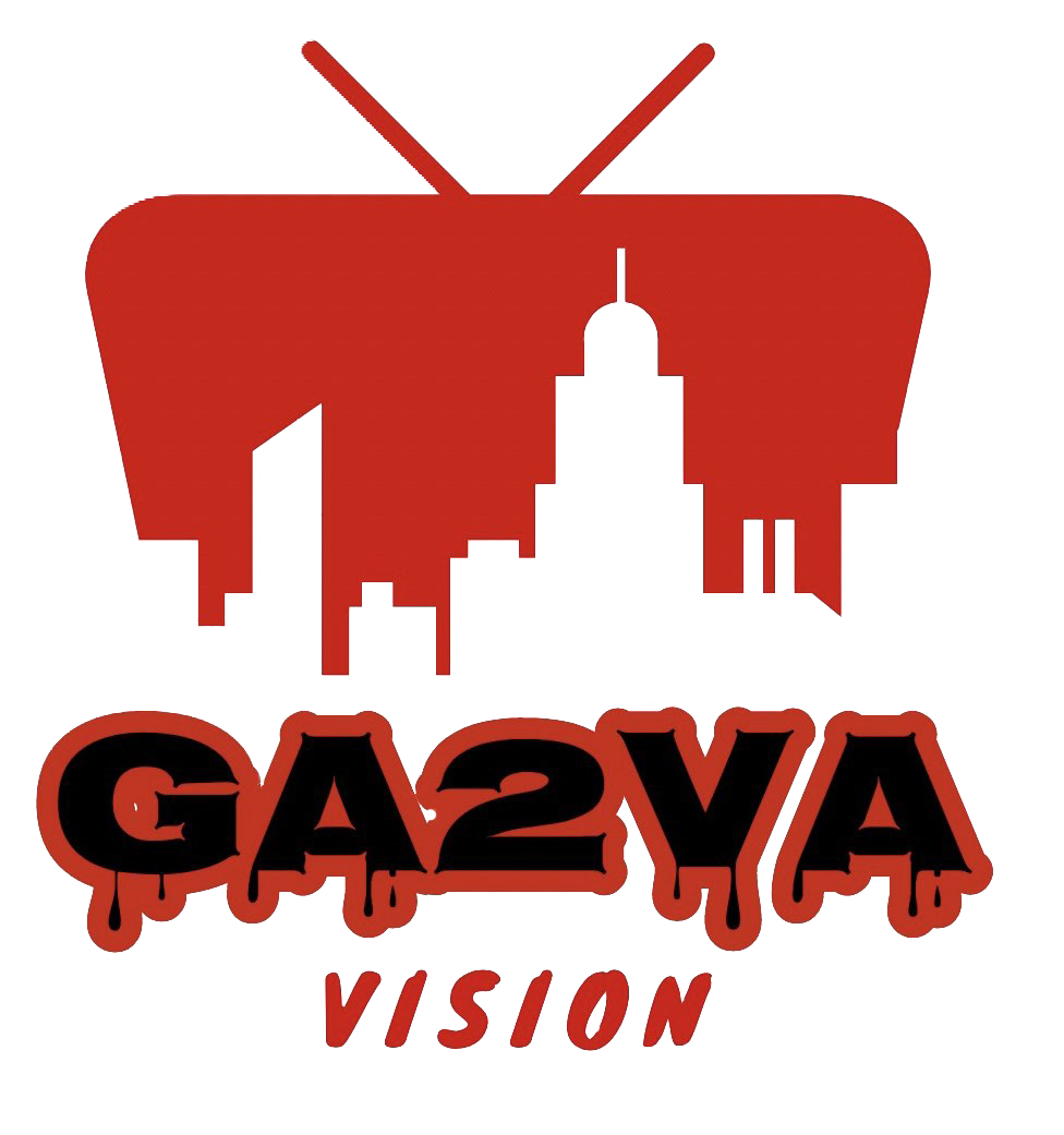 G2V Vision